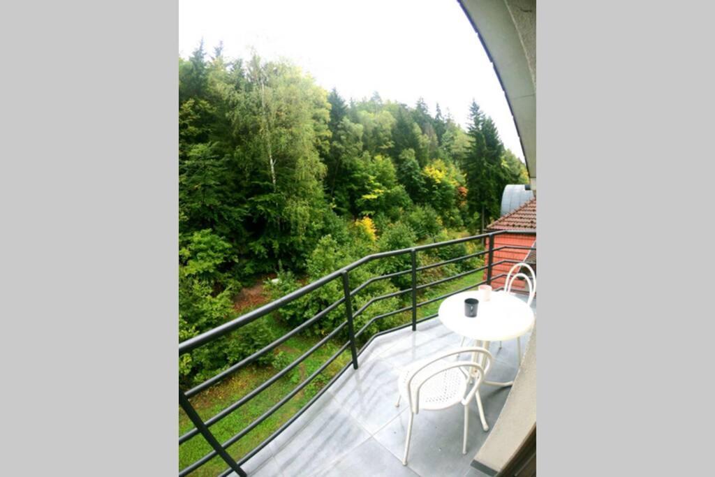 The Mountain Loft Klinovec - With Infrasauna Jáchymov Exterior foto